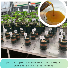 Enzymatic Amino Acid Liquid 500g/L OMRI 8-0-0 Organic Liquid Fertilizer for Field Cash Crops thumbnail-3