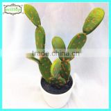 28cm high quality real touch cactus