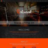 Professional Web Designers