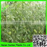 Heavy Duty Long-lasting Flexible Growing Tomatoes Support Net thumbnail-6