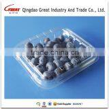 Good Quality Disposable Plastic Blueberry Fruit Packaging Container 125Gram thumbnail-6
