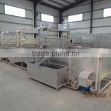 2016 Mung Bean Sprout Cleaning Machine