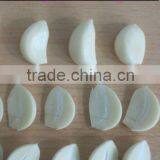 Fresh Garlic thumbnail-1