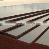 Film Faced Shutter Plywood thumbnail-1