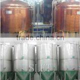 Industrial Investment Project 3000l Micro Beer Brewing System