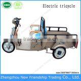 Street Legal ce Approved Electric Utility Tricycle thumbnail-1