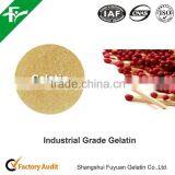 Industrial Grade Cow Skin Gelatin With Competitive Price thumbnail-5