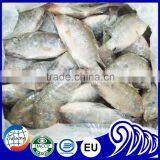 Frozen Tilapia Wholesale Price thumbnail-4