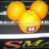 Sma Trading For Import And Export And Commercial Agencies company overview - view 2 thumbnail