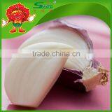Fresh Natural Organic Hybrid Garlic , Whole Sale, High Quality Health Benefit thumbnail-2