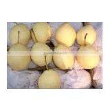 New Crop Ya Pear Fruit In China Company
