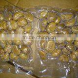 IOF Sweet Peeled Chestnut