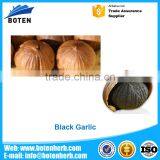 Factory Supplier Black Garlic Extract Polyphenols/Black Powder With Promotional Price