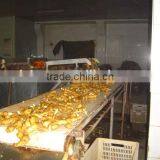 Fresh Air Dry Ginger thumbnail-5