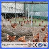 Chicken Use Diamond iron wire fencing/diamond mesh fence wire fencing(Guangzhou Factory)
