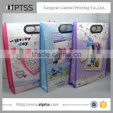 Custom Print Promotion Recyclable Matt Laminated pp Non Woven Bag thumbnail-2