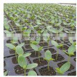 Factory in Zhejiang China Fast Delivery Competitive Price Square Seed Tray thumbnail-3