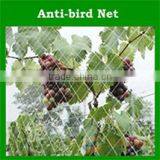 HDPE Virgin Material Anti Hail Net for Agricultural /bird Net thumbnail-5