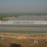 Galvanized Iron for Greenhouse thumbnail-6