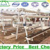 Hydroponic Systems Greenhouse for Agriculture thumbnail-4