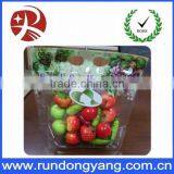 Customized Plastic Stand up Pouch Slider Zip Lock Fruit Packaging Bag thumbnail-2