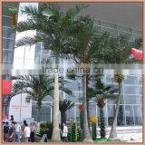 Outdoor Hainan Coconut Palm Tree for Building Landscape Decoration thumbnail-1