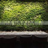 2017 Hot Sale Manufacturer Plastic Green Wall Panels for Outdoor or Indoor thumbnail-5
