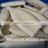 Squid Tube of Argentina Illex Squid thumbnail-1