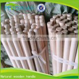 guangxi factory wholesale Tapered end garden stake for plant support