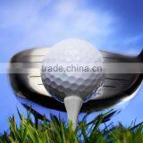 Rubber Wood Plastic Golf Tees Wholesale thumbnail-3