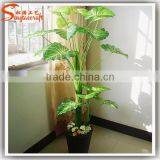 Hot Sales Artificial Cycas Palm Bonsai for Indoor Decoration thumbnail-2