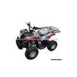 110cc ATV, New Model 2008