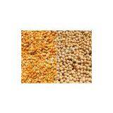 Automatic 6FW-P100 Garden Pea Peeling Machine thumbnail-2