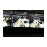 Custom G5 SMD 3 In 1 Outdoor LED Monitor / p6 LED Display Sreen IP65