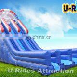 Blue Double Side Inflatable Slide With Mesh