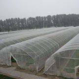 Greenhouse Used Plastic Plisse Insect Screen Wire Mesh China Supplier thumbnail-3