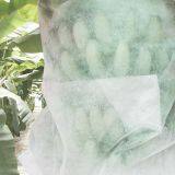 Non Woven Fabrics For Planting Bags CHINA thumbnail-1