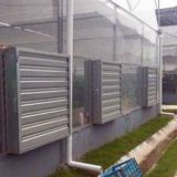 Greenhouse equipment 50\'\' inch industrial ventilatilation fan exhaust fan