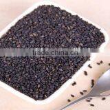 Sesame Seed Paste Making Machine|Tahini Processing Equipment thumbnail-4