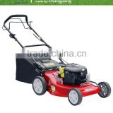 Rotary portable lawn mower CJ21GZZB60-DL