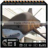 Animatronic Shark Animatronic Animal Shark Replicas for Education thumbnail-1