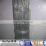 Hot Dip Galvanized Hinged Joint or Field Fence or Cattle Fence or Field Fencing or Grassland Fence (Since 1989)