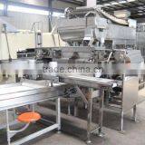 Fried Peanut Production Line thumbnail-1