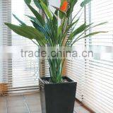 Evergreen Artificial Strelitziaceae Plant thumbnail-5