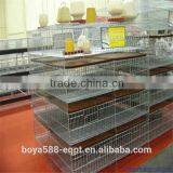 Automatic Brooder Chicken Cage Design For Poultry Chicken Farm thumbnail-1