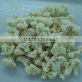 IQF Cauliflower, Frozen Cauliflower, Pickled Cauliflower thumbnail-1