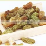 Xinjiang specialty sultanina seedless grape