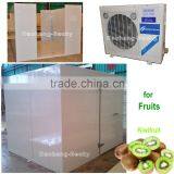 Easy Installation Cold Storage for Fruits With Copeland Compressor