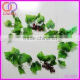 Stuffed Grape Leaf,grape Vine Leaves,grape Vine Wreaths