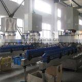 Formulation Toilet Cleaner Filling Machine thumbnail-3